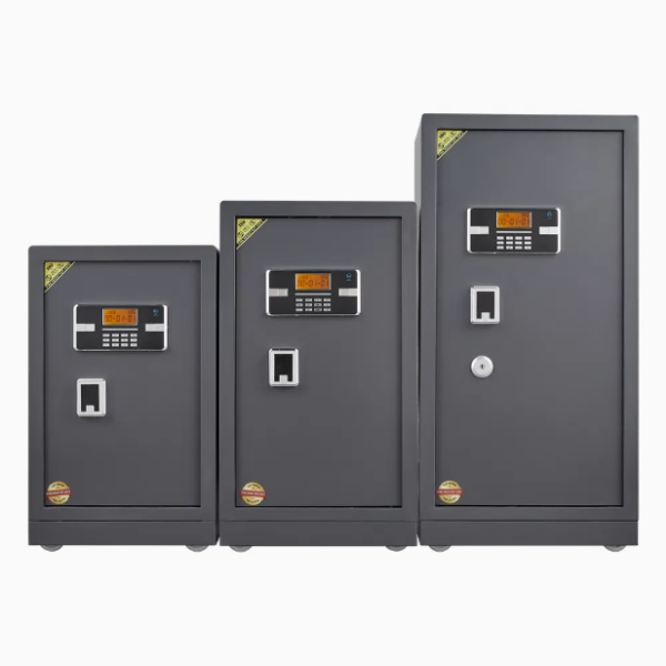 Coffre Fort Numerique