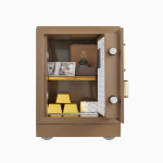 Coffre Fort Numerique